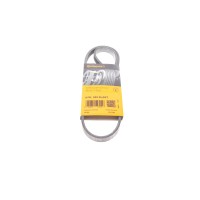 Ремінь генератора Fiat Ducato/Peugeot Boxer 2.2JTD/HDi 06-