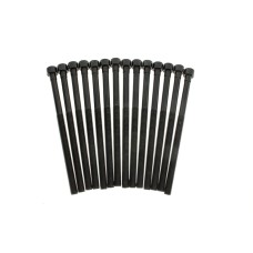 Комплект болтів гбц (14шт) BMW 3 (F30/F80)/5 (G30/F90)/X3 (G01/F97) 15- B46/B48