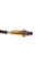 Лямбда зонд Renault Clio/Kangoo 0.9/1.6/2.0 08-