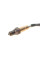 Лямбда зонд Ford Focus III 1.6TDCi ECOnetic 12-15/Mondeo V 1.6TDCi 14-