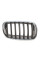 Решітка радіатора BMW X5 (E70)/X6 (E71) 06-14 (R)