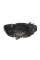 Фара (L) BMW 4 (F32/F82) 13-20 (Bi-Xenon)