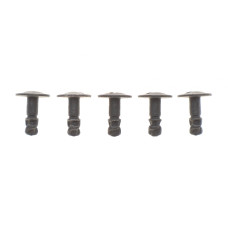 Кліпса кріплення (к-кт 5шт) Audi A6/ VW Passat 96-05 (папа)