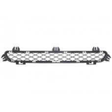 Решітка бампера BMW X3 (F25) 09-17 (посередині)
