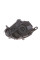 Фара (R) Mini (R60/R61) 10-16 (H4) (LPN701)