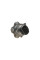 Підшипник маточини (задньої) Nissan Juke/Leaf/Qashqai/X-trail 1.6-2.0 dCi 07-