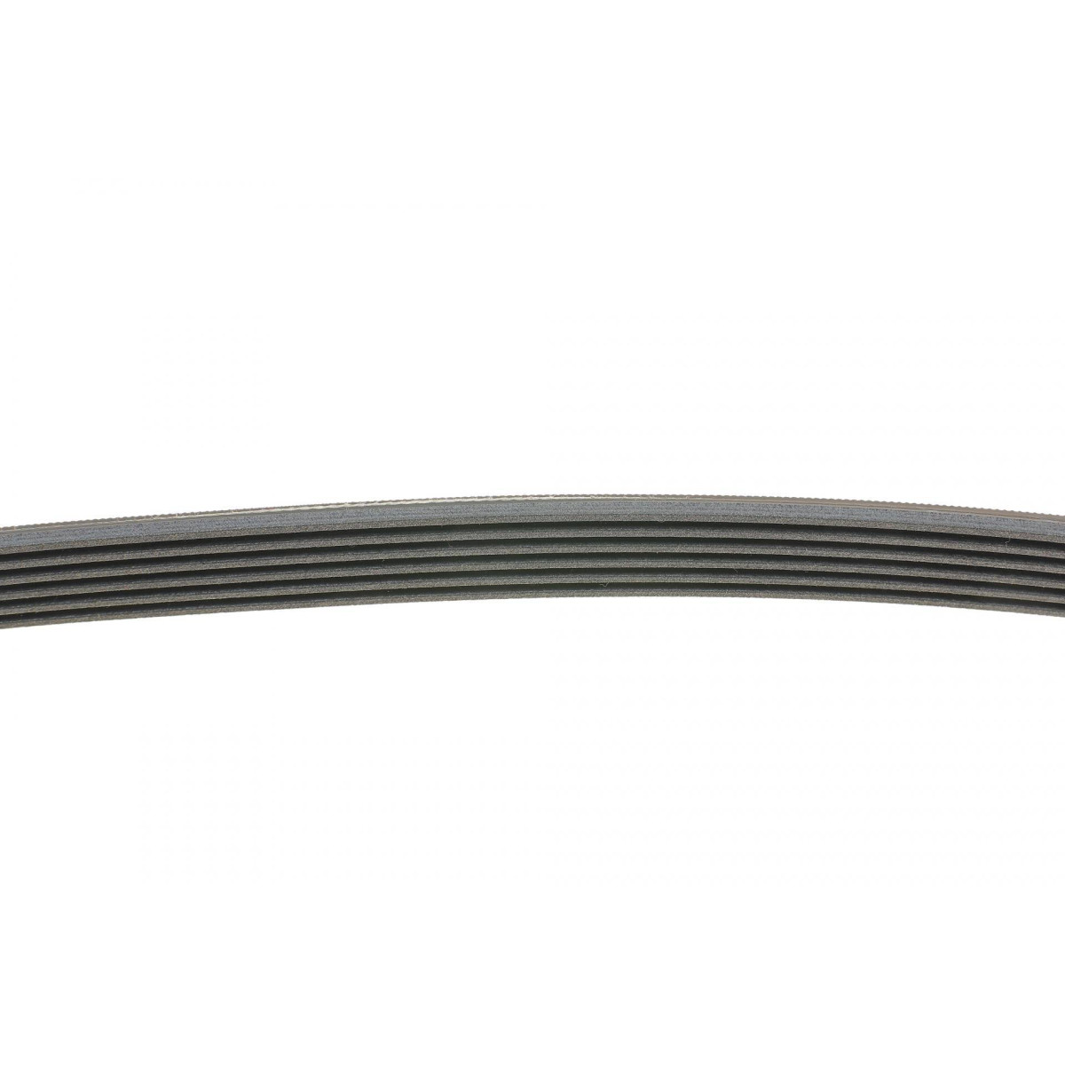 Ремінь генератора VW Caddy/T5 1.9TDI/2.0SDI 04-10/Renault Laguna/Megane/Trafic 1.9dTi/dCi 96-01