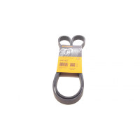 Ремінь генератора Peugeot Bipper/Expert/Partner 1.4/1.6HDI 07-/Ford Focus/Mondeo 2.0 18-