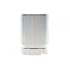 Поршень супорта (заднього) Citroen C4/Peugeot 308 13- (38x53mm) (Bosch)