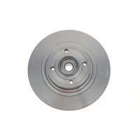 Диск гальмівний (задній) Renault Scenic II/Megane II 03-10 (270х10) (+ABS) (з підшипником) (повний)