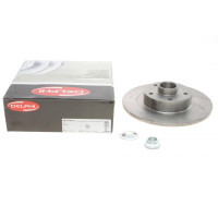 Диск гальмівний (задній) Renault Scenic III 2.0dCi 09- (290х11) (+ABS) (з підшипником)