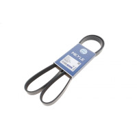 Ремінь генератора Fiat Ducato 2.2D/Ford Transit 2.2TDCI 06- (+AC) (6PK1670)