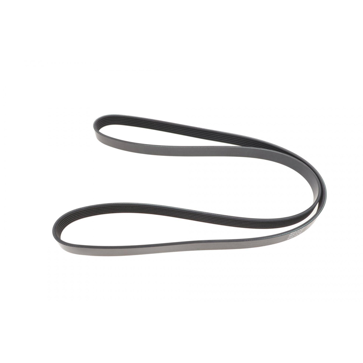 Ремінь генератора Fiat Ducato 2.2D/Ford Transit 2.2TDCI 06- (+AC) (6PK1670)