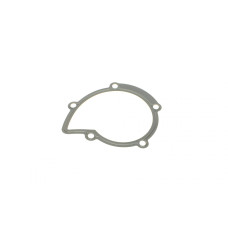 Прокладка помпи води Citroen Jumper/Jumpy/Peugeot Boxer/Expert 2.0/2.2 HDi 02-