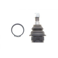 Опора кульова (передня/знизу) Ford Transit 00-14/Connect 02-