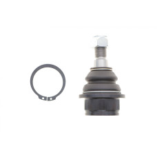 Опора кульова (передня/знизу) Ford Transit 00-14/Connect 02-
