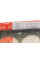 Прокладка ГБЦ Citroen Berlingo/Fiat Scudo 1.9D (DW8) (4 метки) (1.38mm)