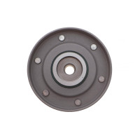 Ролик ГРМ VW T4 2.4D (паразитний) (74.5х27.3)