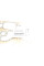Прокладка радіатора масляного BMW 1 (F20/F21)/3 (E90/E91)/4 (F32/F82) 1.6D/2.0D/3.0D 06- N47