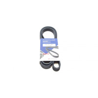 Ремінь генератора VW LT 2.8TDI 96KW/Ford Transit 2.0DI 00-14 (6PK1642)