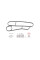 Прокладка радіатора масляного BMW X5 3.0 d 01-03