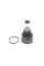 Опора кульова (передня/знизу) Nissan Primera/Sunny 86-02/Almera II 00-