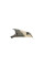 Повторювач повороту на дзеркало Skoda Octavia 04-13 (R)