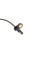 Датчик ABS (передній) Honda CR-V 2.0-2.4 06-12 (R)