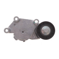 Натяжник ременя генератора Citroen/Peugeot/Ford 1.4HDi/1.6TDCi 01-