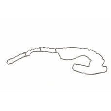 Прокладка кришки клапанів BMW 3 (E90)/5 (E60/F10) 07-13 N52/N53