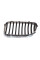 Решітка радіатора BMW 5 (F10) 13-16 (R) (хром)