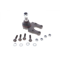 Опора кульова (передня/знизу) Nissan Terrano II (R20/R50) 92-02/Ford Maverick 93-