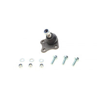 Опора кульова (передня/знизу/R) Audi A3/VW Golf IV 1.6/1.9TDI 97-06