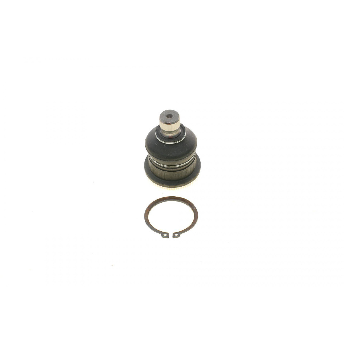 Опора кульова (передня/знизу) Renault Megane II/Scenic 02- (d=16mm)