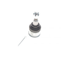 Опора кульова (передня/знизу) Honda Accord VII  2.0/2.2D/2.4 03-08