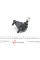 Опора кульова (передня/знизу) Audi A3 99-03/TT 98-06/Seat Leon 02-06/VW Golf IV 02-05