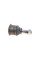 Опора кульова (передня/знизу) Nissan Primera/Sunny 86-02/Almera II 00-
