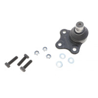 Опора кульова (передня/знизу) Ford Fiesta/Fusion 1.2-1.6 01-12