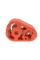 Гумка глушника Fiat Doblo 1.3/1.9 JTD 05-
