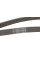 Ремінь генератора Peugeot 206/306/4007/406/4007/Citroen C5 1.9TD/2.0/2.2HDI 96-/Ford Galaxy 2.2 08-