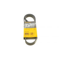 Ремінь генератора VW Golf/Passat 1.6-2.0 96-/Nissan Primera/Almera 2.0 90-01/Citroen C2 1.4 05-09