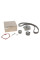 Комплект ГРМ + помпа Renault Clio III/Megane II/III/Scenic II/Trafic 2.0 16V 01- (27x126z)