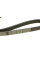 Ремінь генератора поліклиновий Nissan Almera 2.0 00-03/ Primera 2.0 16V 96-01 (6PK1030)