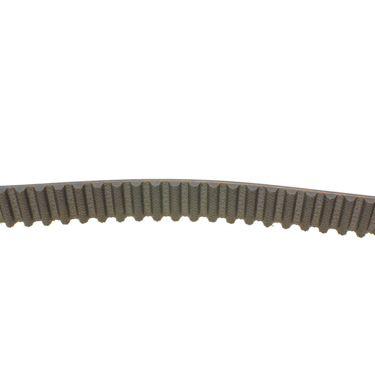 Комплект ГРМ + помпа Nissan Primera 1.9dCi 02-/Renault Scenic/Megane 1.9dCi 03-(26x133z)