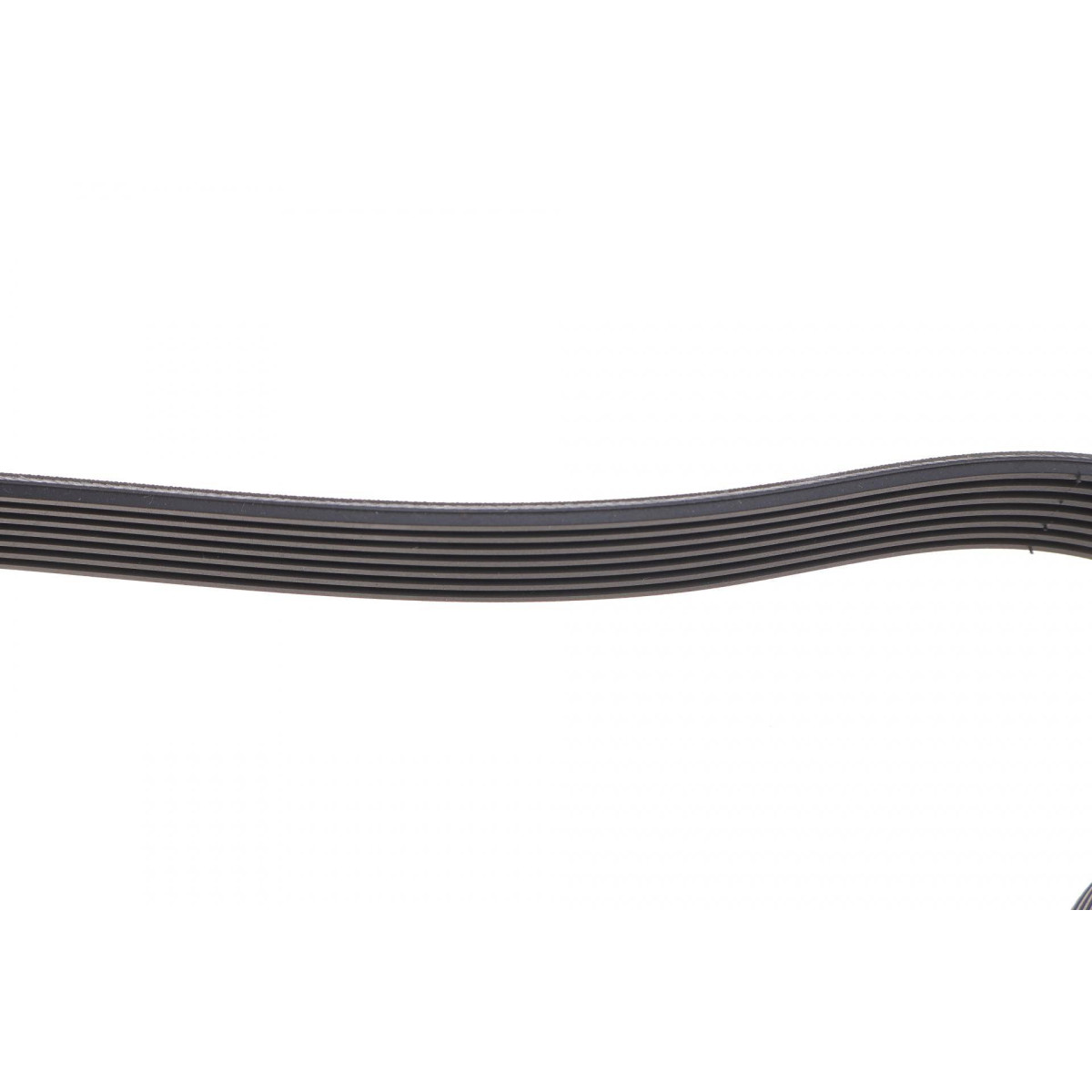 Ремінь генератора Renault Megane III/Scenic III 1.4 16V (JZ0F, JZ1V) 09-