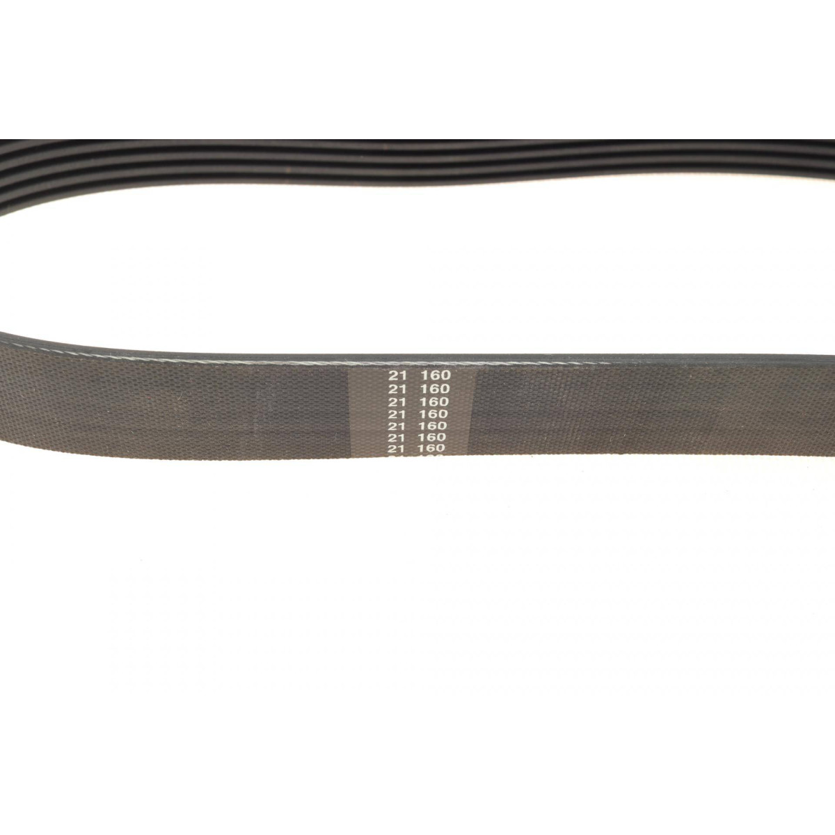 Ремінь генератора VW Caddy/Golf/Skoda Octavia 1.6/2.0 04-15/Fiat Ducato 2.5TDI 94-02/Scudo 1.6 96-06