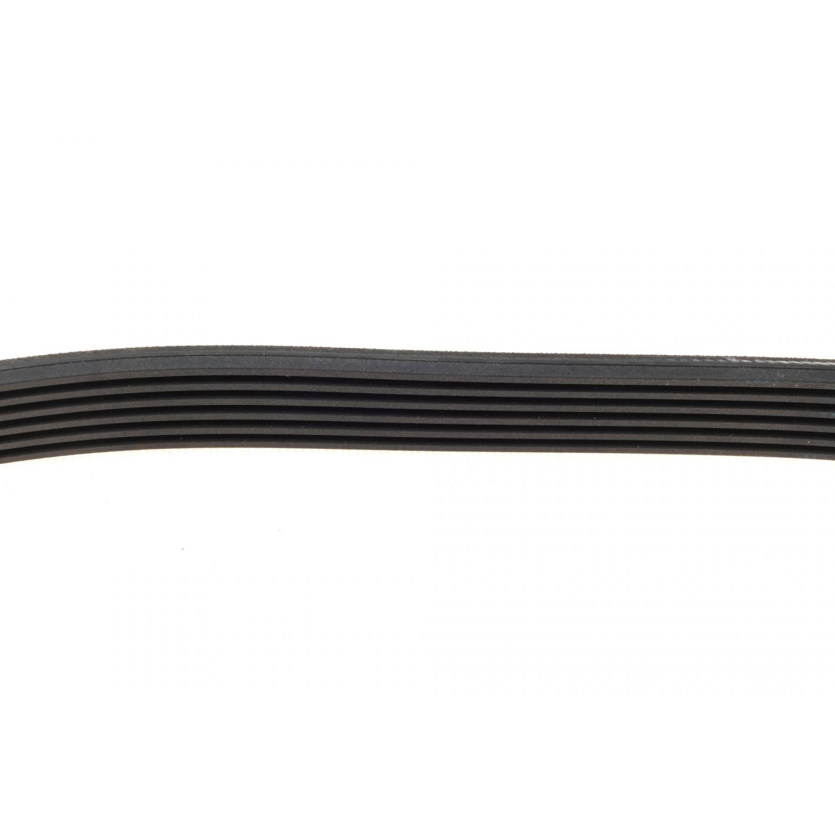 Ремінь генератора VW Caddy/Golf/Skoda Octavia 1.6/2.0 04-15/Fiat Ducato 2.5TDI 94-02/Scudo 1.6 96-06