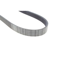 Ремінь генератора Citroen C3/C4/Peugeot 307 1.4-1.6HDi 02- (6PK1090)