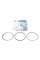 Кільця поршневі VW Polo/Golf II/Jetta II 1.0/1.3i 82-94 (75.00mm/STD) (1.75-2.0-3.0) = 8950350000