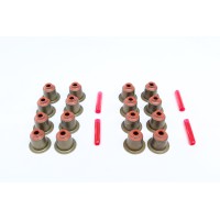 Сальник клапана (впуск/випуск) BMW 3(E90)/5(E39)/7(E38) 2.0D/3.9D 07-11 (к-кт 16шт)